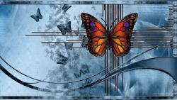 Бабочки картинки для рабочего стола скачать
