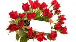 Букет красных роз на день Святого Валентина