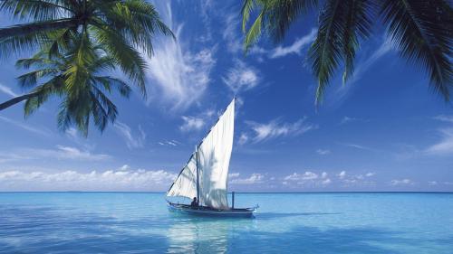 Кокосовые пальмы, синие облака, морской пейзаж, судно