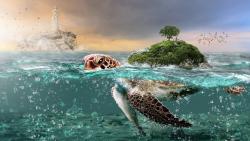 Остров на черепахе