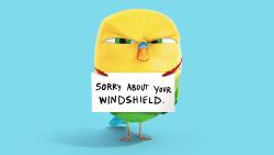 Попугай Горошек — персонаж мультфильма Тайная жизнь домашних животных обои