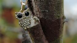 Сова птица кулон картинки для рабочего стола скачать