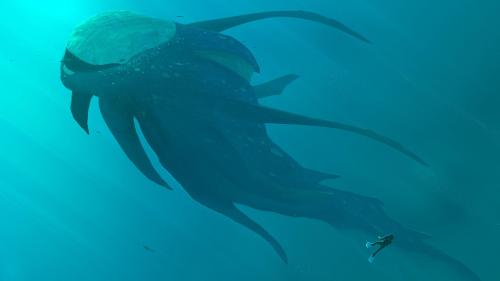 обои на рабочий подводный мир