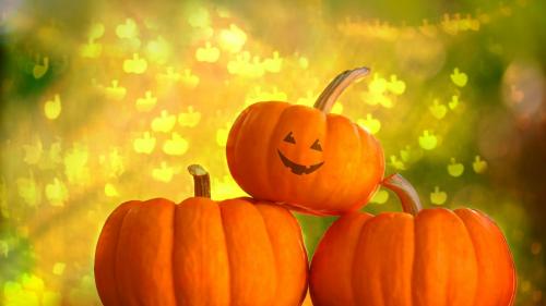 Cool Photography Pumpkin Halloween