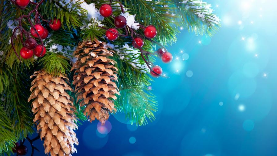 елочки с шишками