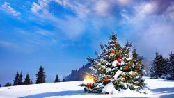 HD обои, Новогодняя елка, зима, снег, небо, холм, лес, Рождество, праздник
