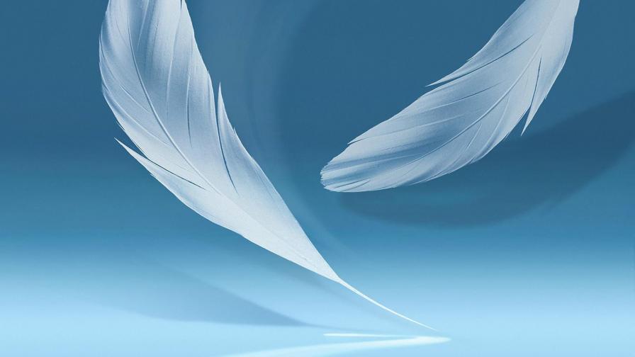 Абстрактные фоны, перья, заставки 