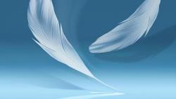 Абстрактные фоны, перья, заставки 