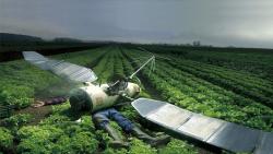 Авария, космос, СССР, спутник, плантация, фермер