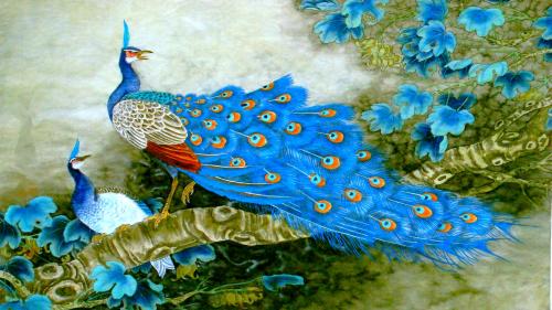 Божественный павлин