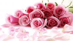 Букет алых роз к празднику обои бесплатно