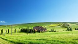 Голубое небо, трава, дома, телефонные столбы, зелень, природа, пейзаж, картинки, обои