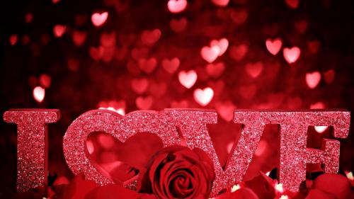 День Святого Валентина, любовь, надпись, роза, лепестки, романтика, сердца, блеск