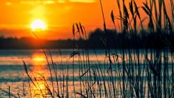 Закат на озере