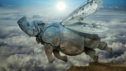 Летающий бегемот, фэнтези картинки, бабочка, небо, скачать