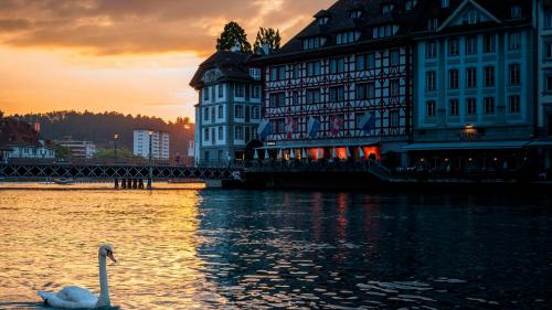 Люцерн, Швейцария, лебедь, вечер