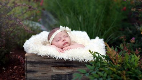 Маленькая красавица спит на природе