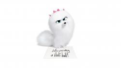 Милая Шпиц Гиджет обои 5K