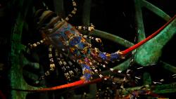 Обои лобстера в подводном мире