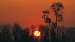 Обои на рабочий стол природы