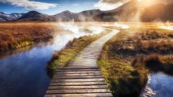 Обои утро на природе на рабочий стол