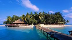 Остров, мост, дерево, небо, океан, картинки, заставки, обои