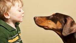 Ребенок и собака картинки скачать бесплатно