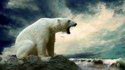 Рычащий большой белый медведь