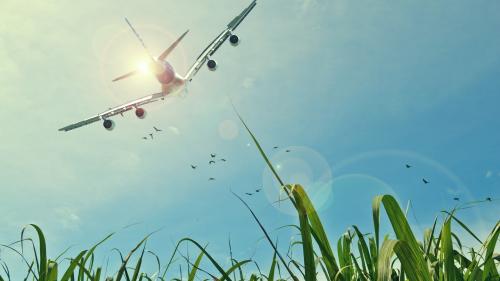 Самолеты, Поля, Солнце, Небо, HD