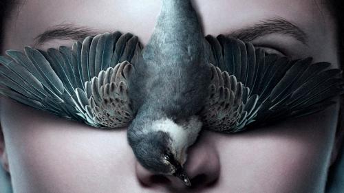 Тельма фильм 2017 обои постера 