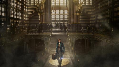 Фантастические звери и места их обитания по роману Джоан Роулинг