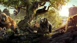 Фильм Книга джунглей (2016) (The Jungle Book (2016))