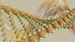 Фото ДНК молекула строение