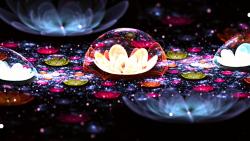 Фото красивого темного цветка под куполом на рабочий стол