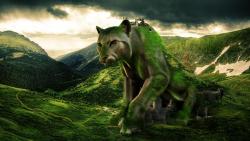 Хищная гора