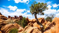 Широкоформатные обои Национальный парк Арки для рабочего стола