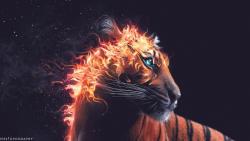 Широкоформатные обои огненного тигра из пламени бесплатно