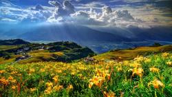 горы, цветы, лилии, деревня, облака, бесплатно