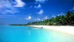 дикий пляж с лодкой на берегу