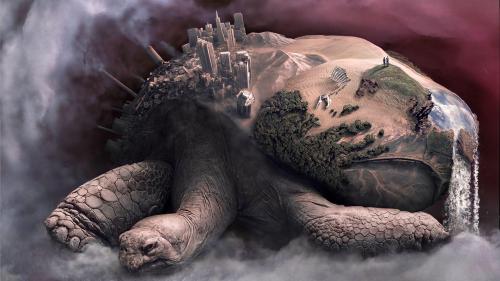 мир на черепахе