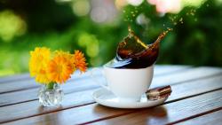 обои на монитор