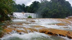 обои река лес