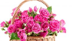 розовые розы в корзине