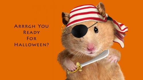 смешно хомяк-пират для Хэллоуина