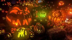 тыква, установить, фары, сено, Хэллоуин, праздник