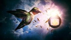 яркая птичка в облаках