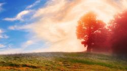 2560x1600, природа, деревья,-красные листья, облака