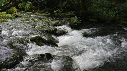 Beautiful water nature free Desktop wallpaper downloads