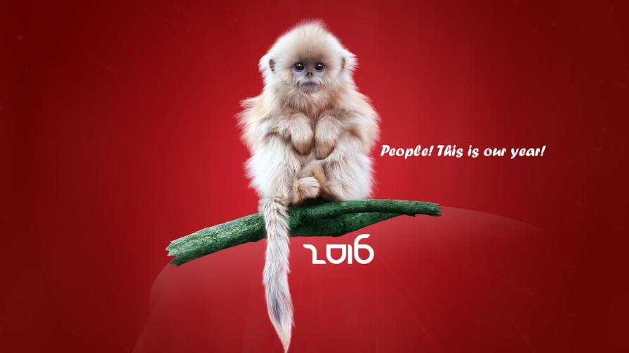 Download New Year 2016 HD Widescreen