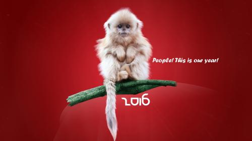 Download New Year 2016 HD Widescreen